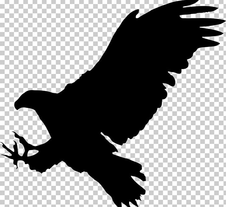 Bald Eagle Bird Silhouette PNG, Clipart, Accipitriformes, Animals, Bald Eagle, Beak, Bird Free PNG Download