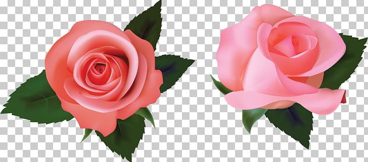 Rose PNG, Clipart, Artificial Flower, Color, Cut Flowers, Drawing, Encapsulated Postscript Free PNG Download