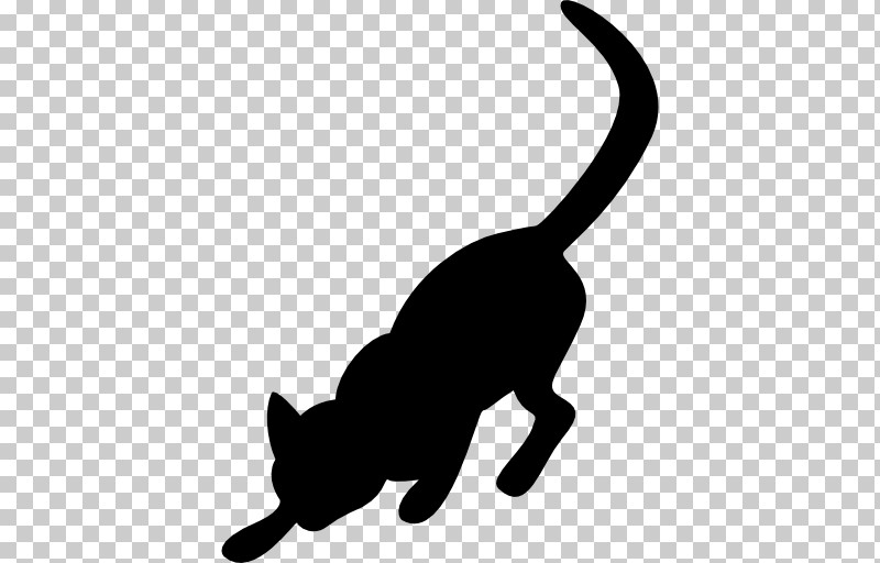 Cat White Small To Medium-sized Cats Tail Black Cat PNG, Clipart, Black Cat, Cat, Claw, Small To Mediumsized Cats, Snout Free PNG Download