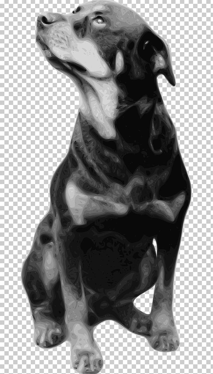 Rottweiler T-shirt Breed PNG, Clipart, Black And White, Breed, Carnivoran, Clothing, Dog Free PNG Download
