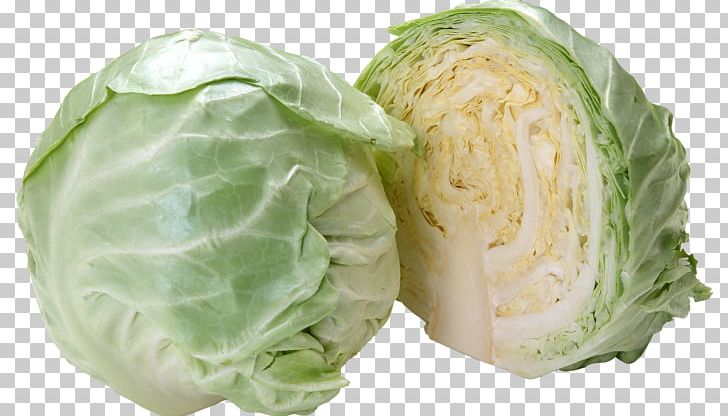 Savoy Cabbage Cauliflower Red Cabbage PNG, Clipart, Brassica Oleracea, Cabbage, Cauliflower, Cruciferous Vegetables, Food Free PNG Download
