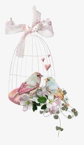 Bird PNG, Clipart, Bird, Birdcage, Bird Clipart, Bow, Day Free PNG Download
