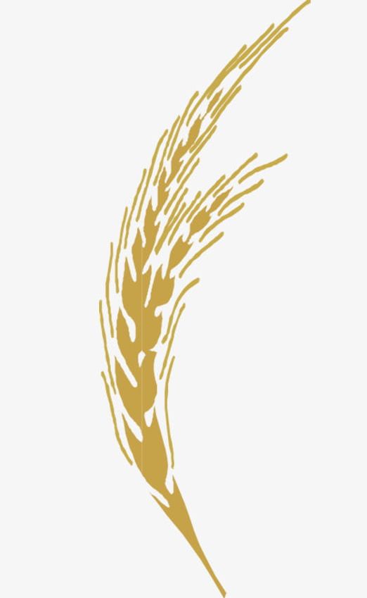 Golden Wheat PNG, Clipart, Abstract, Backgrounds, Computer Graphic, Decoration, Design Free PNG Download
