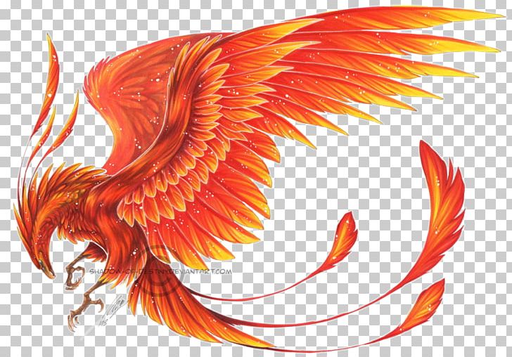 Phoenix Ibong Adarna Myth PNG, Clipart, Art, Beak, Burtonconner House, Chinese Mythology, Chronicles Of Elyria Free PNG Download