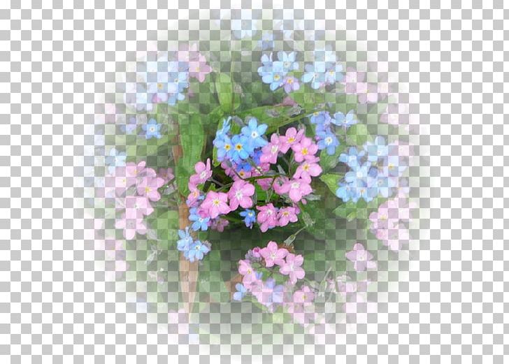 Floral Design Cut Flowers Borages PNG, Clipart, Annual Plant, Artificial Flower, Blue, Borage, Borage Family Free PNG Download