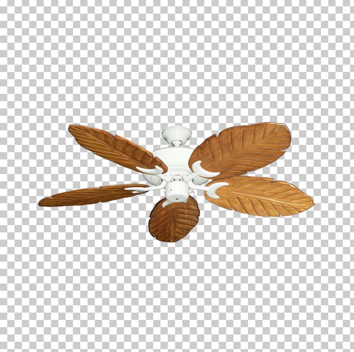 Lighting Ceiling Fans PNG, Clipart,  Free PNG Download