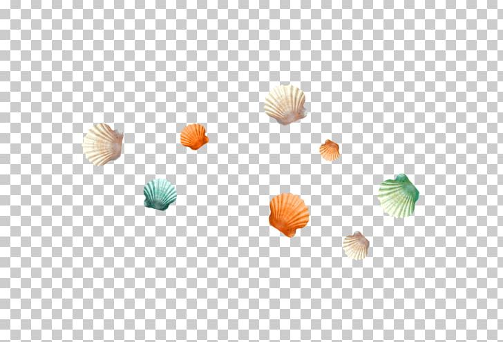 Seashell Beach PNG, Clipart, Art Shell, Beach, Clip Art, Color, Copyright Free PNG Download