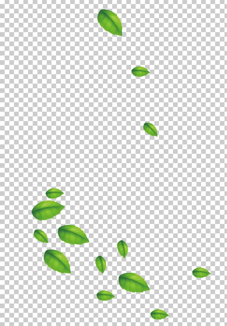 Leaf Designer PNG, Clipart, Angle, Background Green, Circle, Data, Designer Free PNG Download