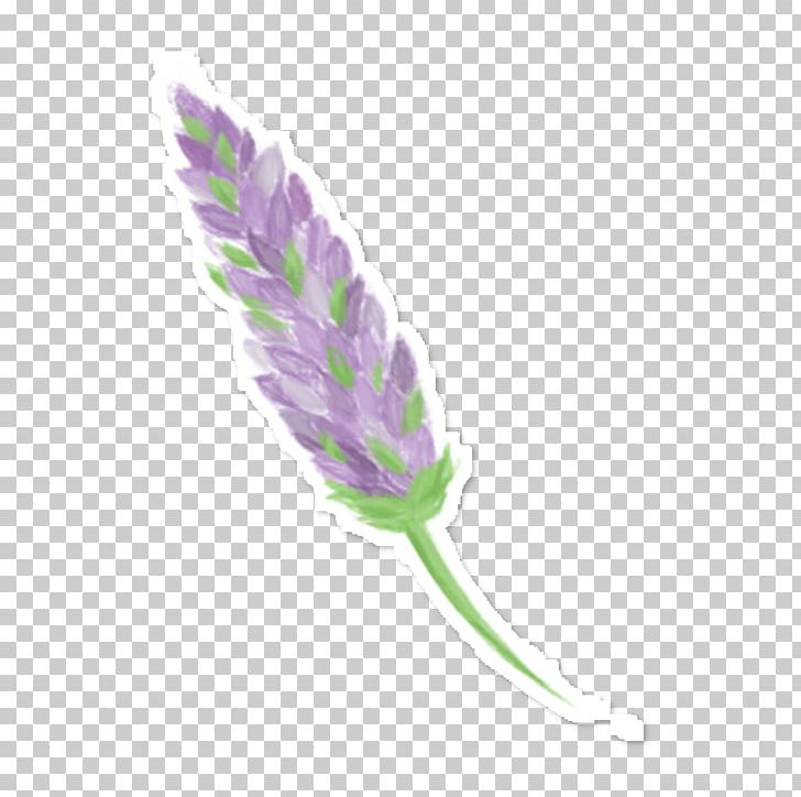 English Lavender Lilac Drawing Violet PNG, Clipart, Art, Drawing, English Lavender, Feather, Flower Free PNG Download