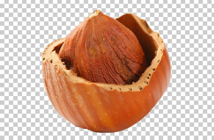 Hazelnut Stock Photography PNG, Clipart, Can Stock Photo, Closeup, Commodity, Common Hazel, Depositphotos Free PNG Download