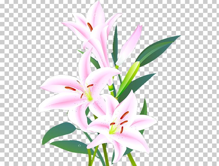 Lilium Floral Design Cut Flowers Leaf PNG, Clipart, Calla Lily, Decoration, Euclidean Vector, Fleurdelis, Flora Free PNG Download