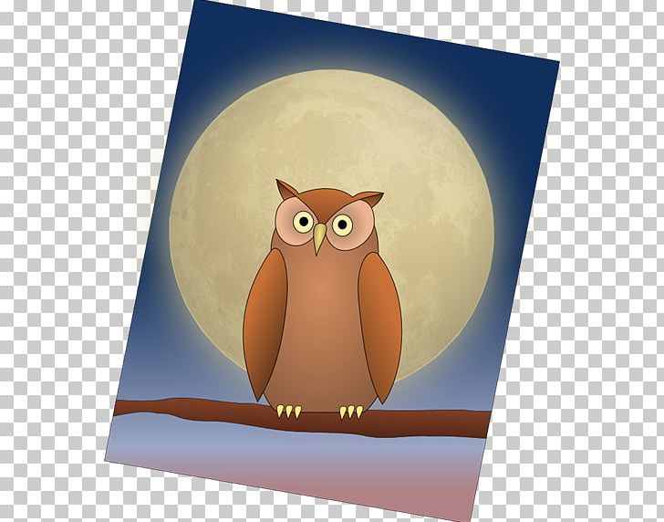 Owl Bird Moon PNG, Clipart, Animal, Animals, Beak, Bird, Bird Of Prey Free PNG Download