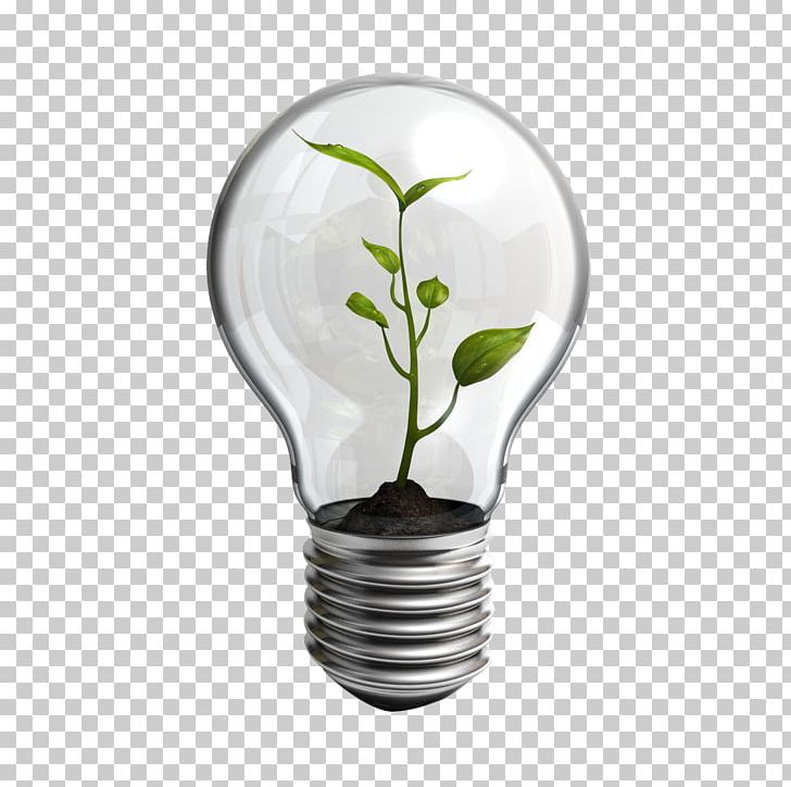 Paper AIESEC Non-profit Organisation Waste Service PNG, Clipart, Bulb, Christmas Lights, Efficient Energy Use, Electricity, Energy Free PNG Download