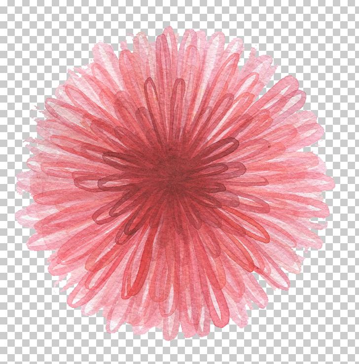 Stock Photography Transvaal Daisy PNG, Clipart, Circle, Common Daisy, Daisy, Floral Design, Flower Free PNG Download