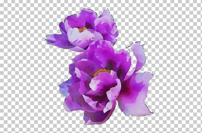 Artificial Flower PNG, Clipart, Artificial Flower, Arumlily, Cattleya Orchids, Cut Flowers, Dendrobium Free PNG Download
