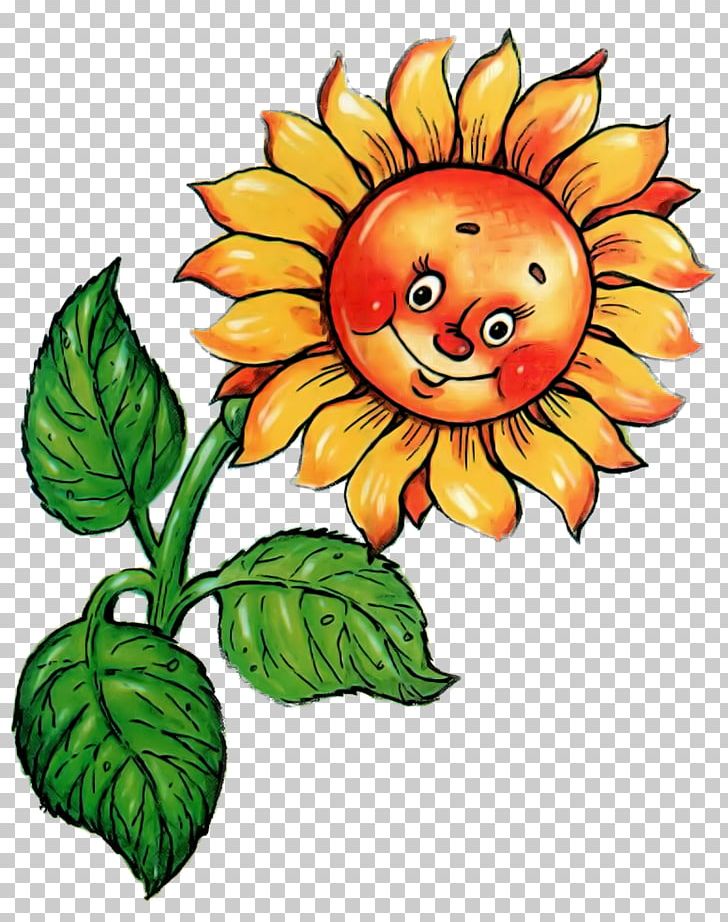 Common Sunflower Drawing Sunflower Seed PNG, Clipart, Animaatio, Artwork, Cartoon, Clip Art, Common Sunflower Free PNG Download