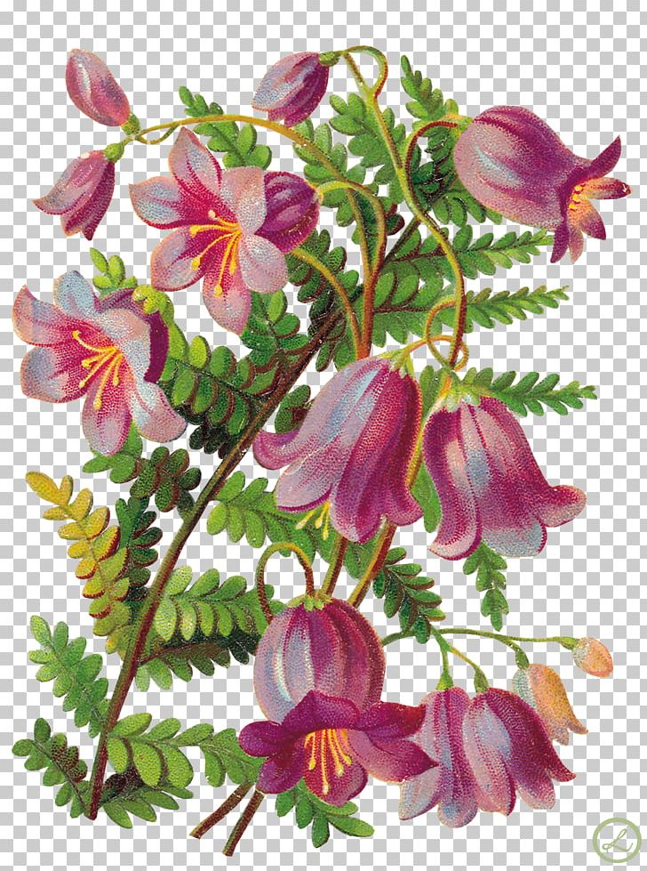 Decoupage Flower Art PNG, Clipart, Annual Plant, Art, Blume, Decoupage, Flora Free PNG Download