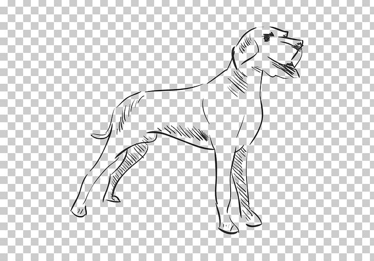 Dog Breed Drawing Line Art PNG, Clipart, Animal, Animals, Animal Track, Artwork, Black And White Free PNG Download