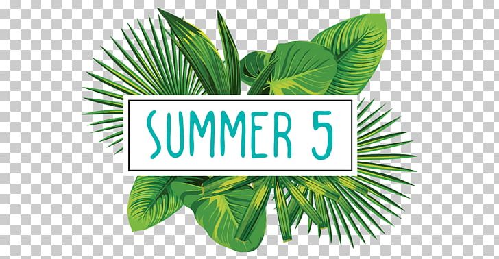 Graphics Stock Illustration Tropics Logo PNG, Clipart, Brand, Leaf, Logo, Palm Branch, Palm Tree Free PNG Download