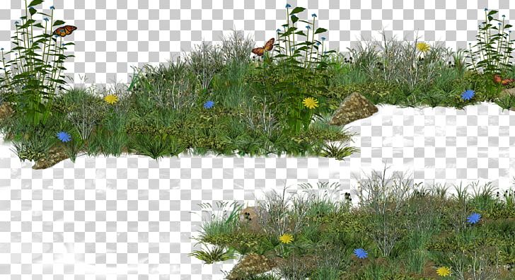 Grass Shrub Lawn PNG, Clipart, Artificial Grass, Cartoon Grass, Creative Grass, Down, Euclidean Vector Free PNG Download