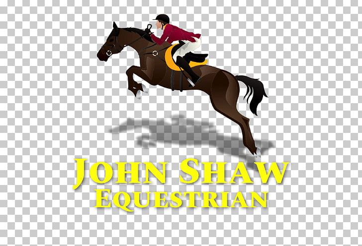 Hunt Seat John Shaw Equestrian Rein Horse PNG, Clipart, Animals, Bridle, English Riding, Equestrian, Equestrian Centre Free PNG Download