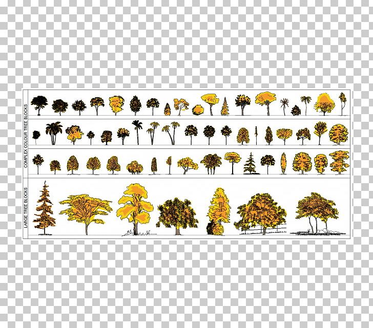 Set Tree Plan Landscape Design Drawing Stock Illustration 663810979   Shutterstock