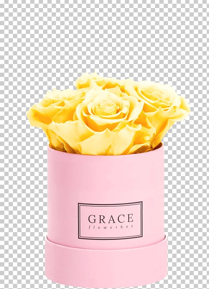Rose Flower Box Pink Cut Flowers PNG, Clipart, Apricot, Computer Software, Cream, Cut Flowers, Floristry Free PNG Download