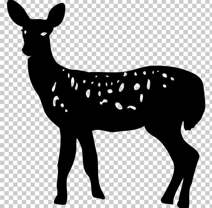White-tailed Deer Silhouette PNG, Clipart, Animals, Antler, Black And White, Deer, Desktop Wallpaper Free PNG Download