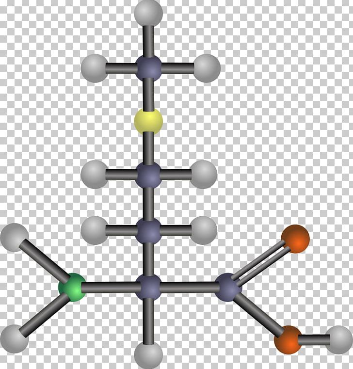 Branched-chain Amino Acid Asparagine Tyrosine PNG, Clipart, Acid, Amine, Amino Acid, Amino Acids, Asparagine Free PNG Download