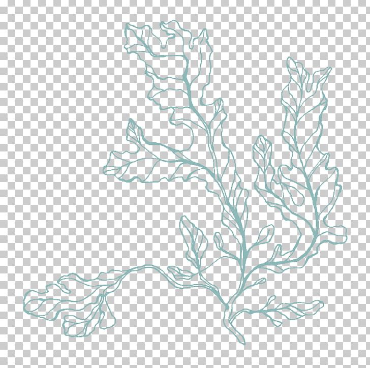 Floral Design Graphics Sketch Art PNG, Clipart, Art, Artwork, Black And White, Branch, Drawing Free PNG Download