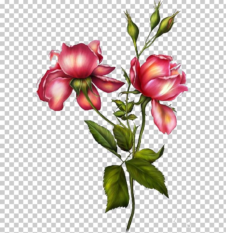 Garden Roses Peony Flower Sticker PNG, Clipart, Blog, Bud, Cut Flowers, Floral Design, Flower Free PNG Download