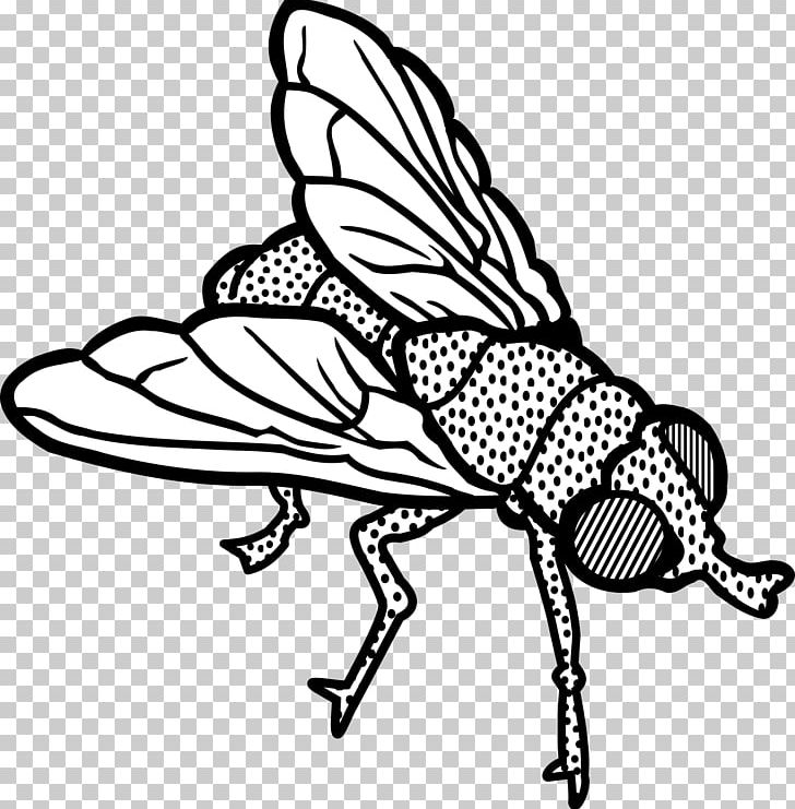 fly clipart black and white