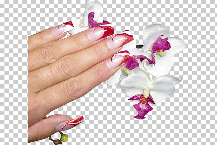 Nail Polish Manicure Nail Clippers Franske Negle PNG, Clipart, Beauty Parlour, Cosmetics, Cut Flowers, Fashion, Finger Free PNG Download