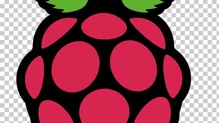 Raspberry Pi 3 Raspbian Computer Software PNG, Clipart, Bonjour, Circle, Computer, Computer Icons, Computer Software Free PNG Download