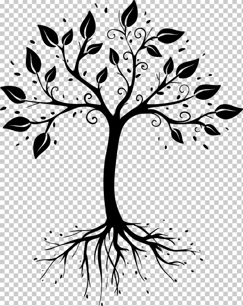 Black-and-white Branch Tree Leaf Plant PNG, Clipart, Blackandwhite, Branch, Flower, Grass, Leaf Free PNG Download