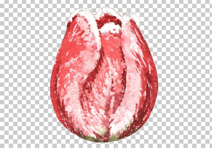 Close-up Lip Fruit PNG, Clipart, Closeup, Closeup, Flesh, Fruit, Jaw Free PNG Download