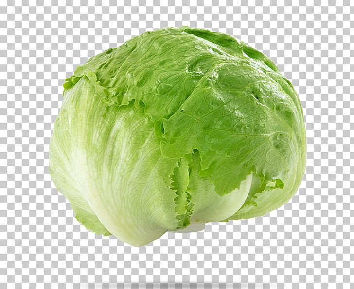 Iceberg Lettuce Stuffing Salad Vegetable Cabbage PNG, Clipart, Cabbage, Cauliflower, Collard Greens, Cruciferous Vegetables, Food Free PNG Download