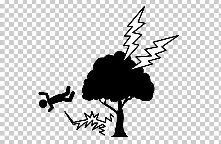 Lightning Strike Illustration Accident PNG, Clipart, Accident, Art, Artwork, Big Tree Material, Black Free PNG Download