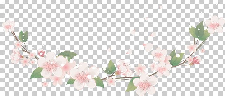 Frames Flower Floral Design PNG, Clipart, Blossom, Branch, Cherry Blossom, Computer Wallpaper, Cut Flowers Free PNG Download