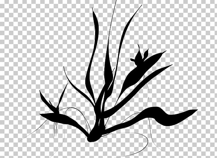 Painting PNG, Clipart, Art, Artwork, Black And White, Branch, Computer Icons Free PNG Download
