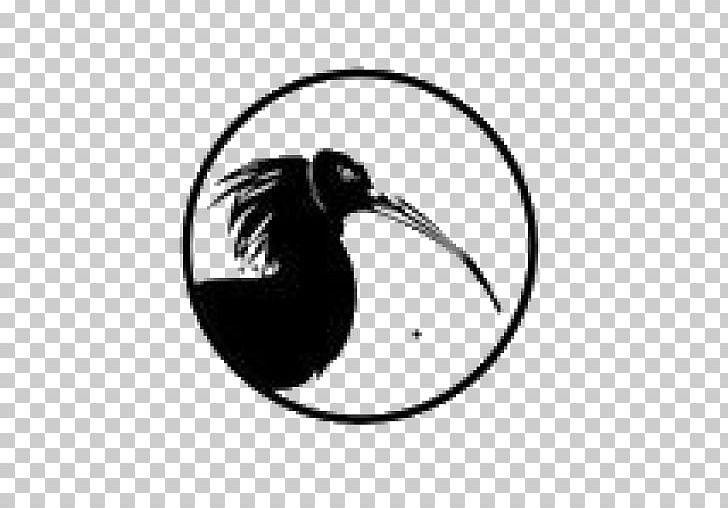 Birecik Northern Bald Ibis Water Bird PNG, Clipart, Animals, Beak, Bird, Black And White, Crop Free PNG Download