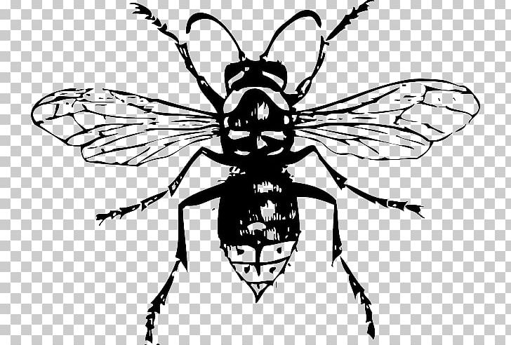 Bald-faced Hornet Bee Insect PNG, Clipart, Arthropod, Artwork, Baldfaced Hornet, Bee Sting, Brush Footed Butterfly Free PNG Download
