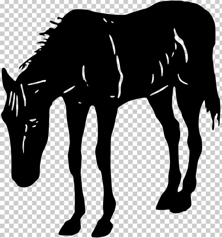 Horse PNG, Clipart, Animals, Autumn, Black, Black And White, Colt Free PNG Download