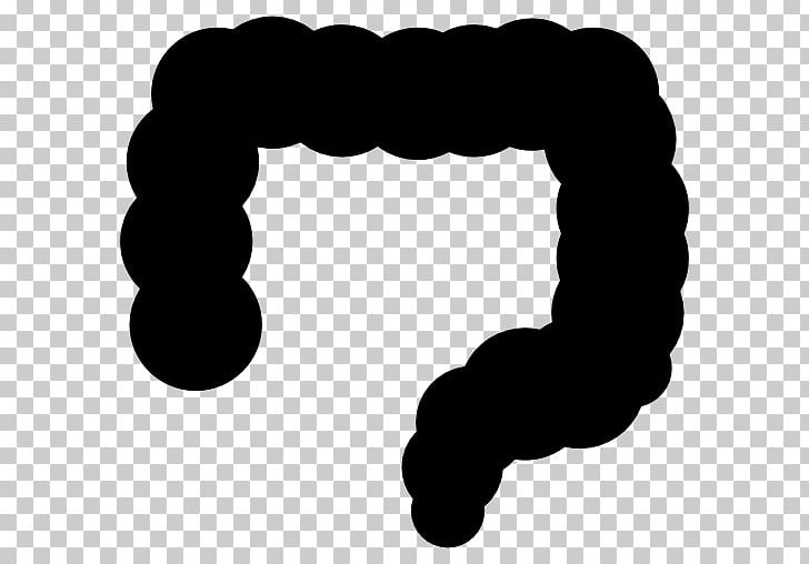 Large Intestine Small Intestine PNG, Clipart, Black And White, Circle, Colorectal Cancer, Computer Icons, Digestion Free PNG Download