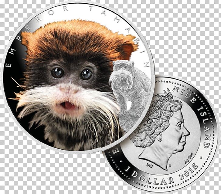 Bearded Emperor Tamarin Silver Coin Monkey PNG, Clipart, Amazing Animals, Animal, Bearded Emperor Tamarin, Coin, Emperor Free PNG Download