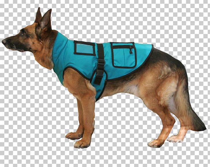 Dog Breed German Shepherd Snout Dog Clothes PNG, Clipart, Breed, Carnivoran, Clothing, Dog, Dog Breed Free PNG Download