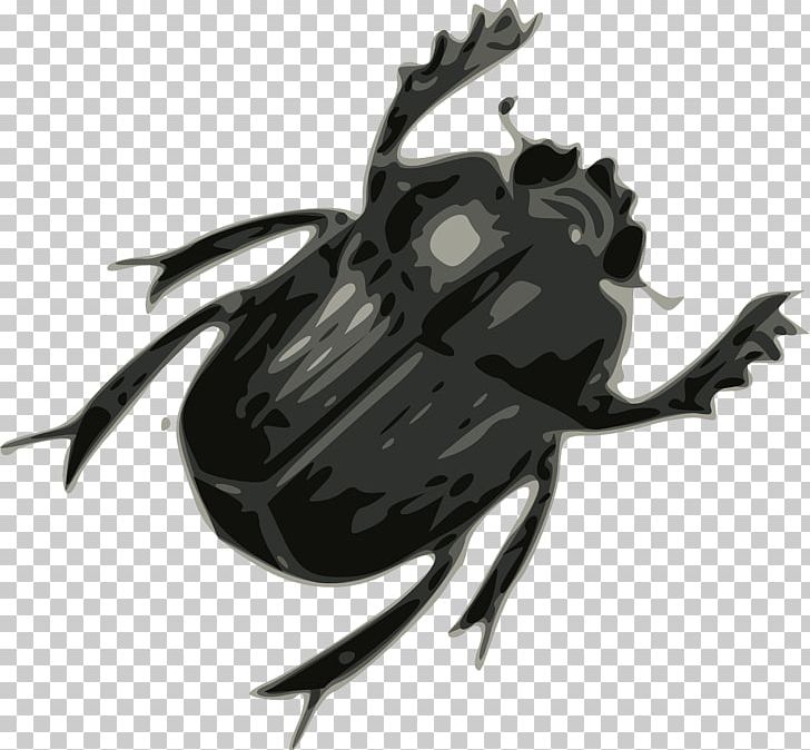 Beetle PNG, Clipart, Animal, Animals, Arthropod, Baby Crawling, Beatles Free PNG Download