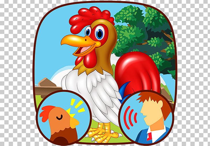 Bird Cafe Bazaar Chicken Animal Galliformes PNG, Clipart, Android, Animal, Animals, Beak, Bird Free PNG Download