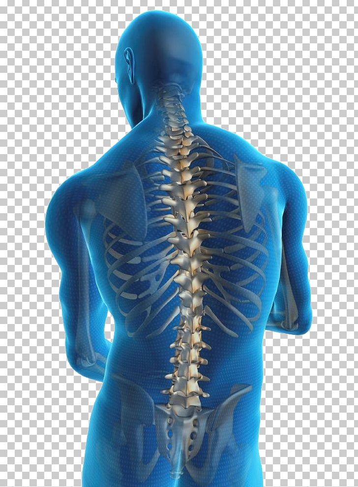Low Back Pain Pain Management Human Back Spinal Disc Herniation PNG, Clipart, Ache, Back, Back Injury, Back Pain, Chronic Pain Free PNG Download