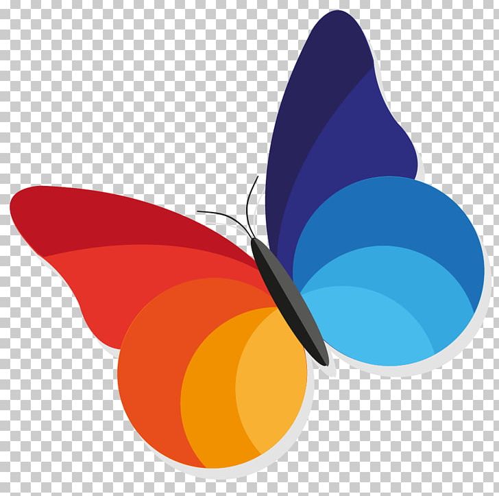 Papillon Web Internet Web Design PNG, Clipart, Advertising Agency, Butterfly, Digital Agency, Ecommerce, Google Free PNG Download